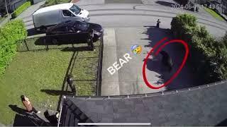 Terrifying video shows toddler's close call with black bear in Metro Vancouver