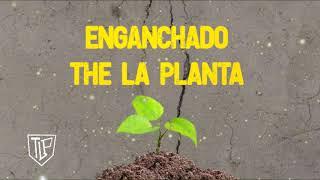 ENGANCHADO | THE LA PLANTA 2022 