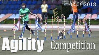 Agility Competition in Mariupol | 02.06.2018