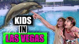 TOP 20 things to do with KIDS on Las Vegas strip