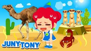 Desert Animals |  I Love the Hot Desert! | Animal Songs and Stories | JunyTony