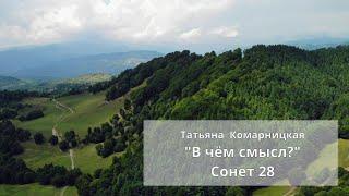 Татьяна Комарницкая (12+) "В чём смысл?" христианский стих