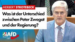 Was ist der Unterschied zwischen Peter Zwegat und der Regierung? – Herbert Strotebeck (AfD)