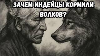 Зачем индейцы кормили волков? Мудрость племени Чероки.