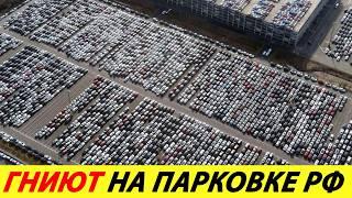 ️WHILE YOU'RE SAVING UP FOR A USED CAR, THERE ARE A HUGE NUMBER OF CARS ROTTING IN RUSSIA