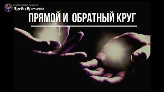 ▶️ Биоэнергетика для всех. ПРЯМОЙ И ОБРАТНЫЙ КРУГ