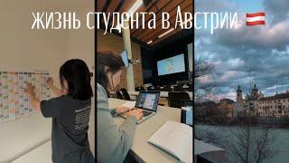 первая неделя учебы || будни студента в австрии 