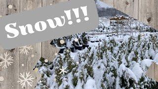 Preparing the Nursery for Snow !! How we get ready for a winter storm