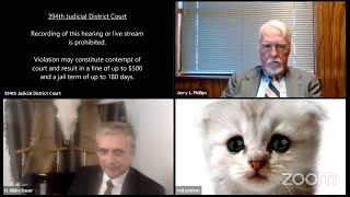 ‘I’m not a cat’: Lawyer goes viral for kitten filter in Zoom virtual court case