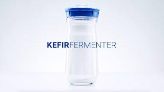 Kefirko Kefir Fermenter