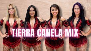 Mix Tierra Canela - DJ Javier Aguilar