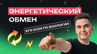 ВЕСЬ ЭНЕРГЕТИЧЕСКИЙ ОБМЕН ДЛЯ ЕГЭ ПО БИОЛОГИИ | Зимняя школа | NeoFamily