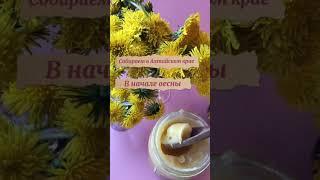 Одуванчиков мёд от Антона Медова)
