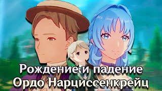 История Ордо Нарциссенкрейц [Геншин лор]