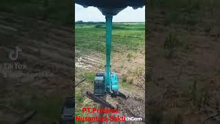 Kebun Tebu PT. Pratama Nusantara Sakti .