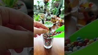 gardan plant 🪴 Improve your happiness at a low cost! Try making your own hydroponic ornaments,