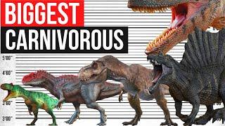 Largest land Carnivorous Dinosaurs That Ever Lived | Size Comparison