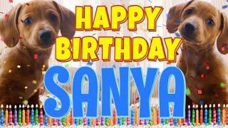 Happy Birthday Sanya! ( Funny Talking Dogs ) What Is Free On My Birthday