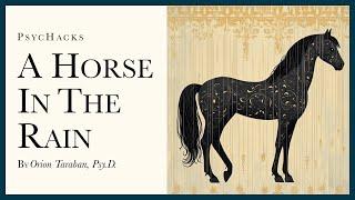 A horse in the rain: how to pass through suffering