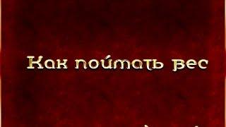 Как поймать заданный вес? Русская рыбалка 3.7.5