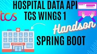 T4 wings1 SpringBoot Hospital Data API Handson| wings1| frescoplay