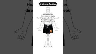 X-Ray Tech Study Guides @YourXRayTech 🩻️ #radiology #xray #mentor