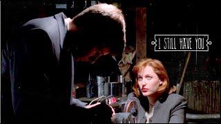 mulder & scully | wouldn't you like to love?