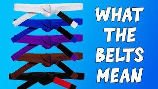 Do Jiu Jitsu Belts Matter?