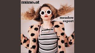 Meadow Report