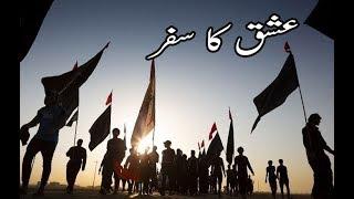 Arbain Walk | Pedal Karbala | Chehlum Imam Hussain | Karbala 1441/2019