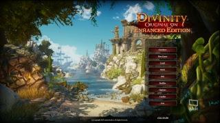 Divinity Original Sin - Testing