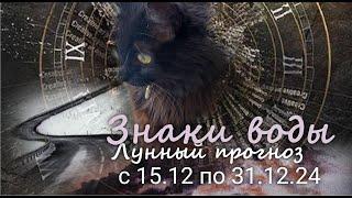 ЗНАКИ ВОДЫ (Рак, Скорпион, Рыбы). Лунный прогноз с 12.12 по 31.12.2024 г. Валерия Пузырева