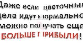 Секреты профессионального ухода за срезанными цветами