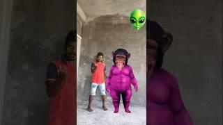 purple fatty dog face machineg VFX video #youtubeshorts