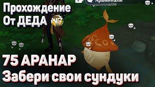 АРАНАР ГДЕ НАЙТИ ВСЕХ АРАНАР В СУМЕРУ Геншин импакт как найти всех аранар расположение всех Аранар