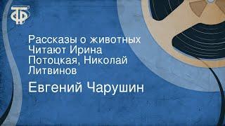 Евгений Чарушин. Рассказы о животных. Читают Ирина Потоцкая, Николай Литвинов