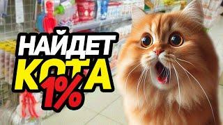 Найди Кота на Стриме! Вместе с WOOODYYYY