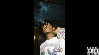 Playboi Carti  - She Wanna (Official Audio) (Unreleased)