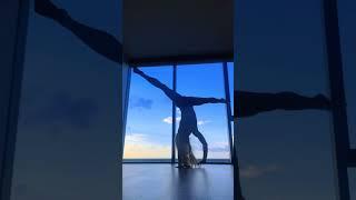440 Day 2 with a view️ #splits #yoga #stretching #flexibility #handstandchallenge