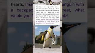 Penguin Goes Shopping Alone! #penguin #fish