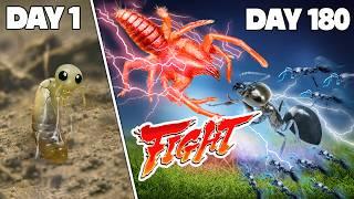 Simulating an Ant Colony for 180 Days  ANTTREK