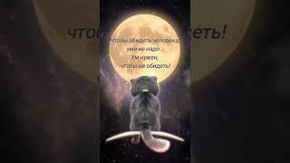 Не обижайте #жизнь #мысли #умныемысли #всемдобра #свойдом