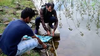 Rat snake vs Rat snake। Snakesaver Team AZN। दो सांपों की जबरदस्त भिड़ंत।