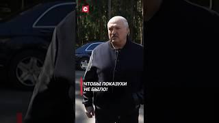 Лукашенко: Чтобы показухи не было! #shorts #лукашенко #новости