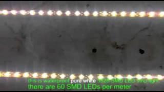 waterproof pure white 3528 SMD LED strip light - kutop.com