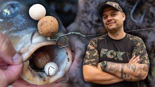 Przypon Blow Back Rig Jakobka na MULISTE DNO | Fox Carp fishing