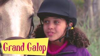 Grand Galop - La Course d'obstacle | Partie 2 | Saison 1 | Episode 3