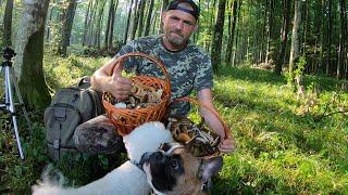 ЭКСТРИМ ПОХОД ЗА ГРИБАМИ.ЗАБЛУДИЛИСЬ В ЛЕСУ, попали в ГРОЗУ, но СОБРАЛИ ГРИБЫ!