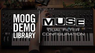 Muse | Dual Filter Configuration