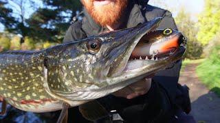 Canal Pike Still Demolishing These Baits In The Cold Weather